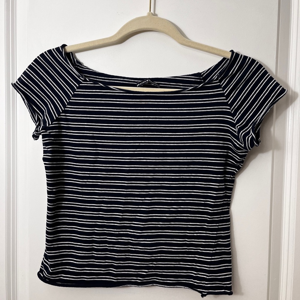 Brandy Melville Striped Top (Blue/White)